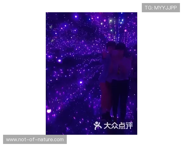 星空娱乐客服：全天候在线为玩家提供贴心服务