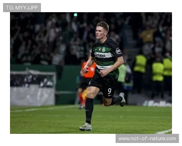 星空足球app:助你发现喜欢的球队与球员,足球社交新体验