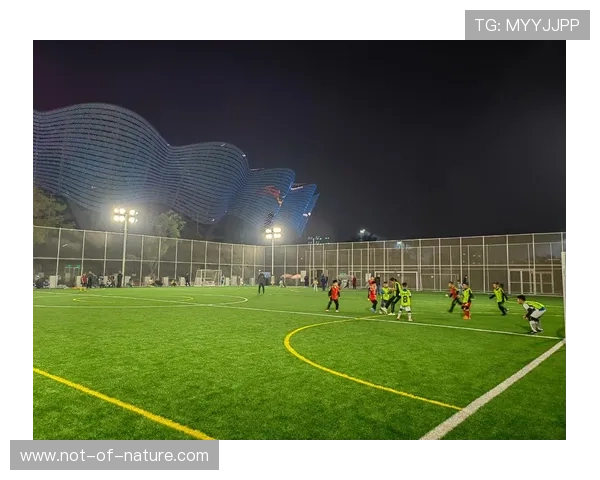 星空足球公园的魅力:星空下的足球文化与娱乐活动 星空足球公园的魅力:星空下的足球文化与娱乐活动