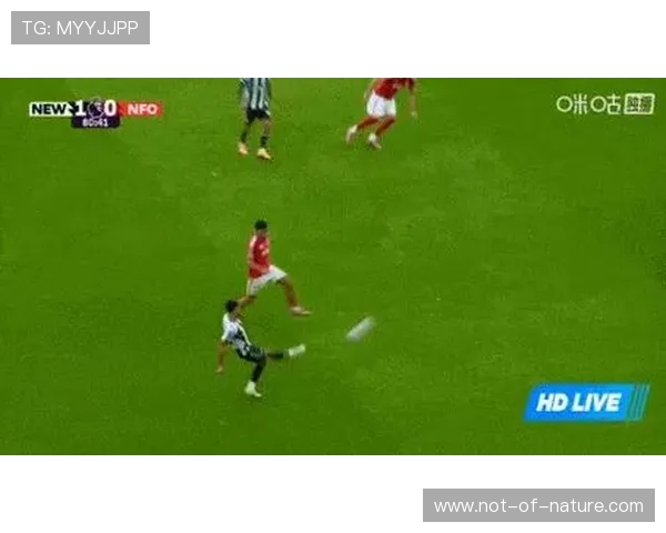 星空足球官网版app:随时随地掌握最新足球资讯和比赛动态