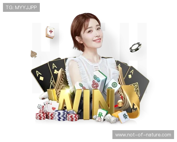 深度剖析星空体育官网app下载安装对于用户体验的提升作用