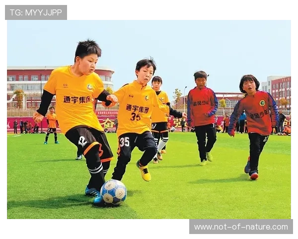 畅游星空足球俱乐部官网,享受球迷专属的乐趣与福利 畅游星空足球俱乐部官网,享受球迷专属的乐趣与福利