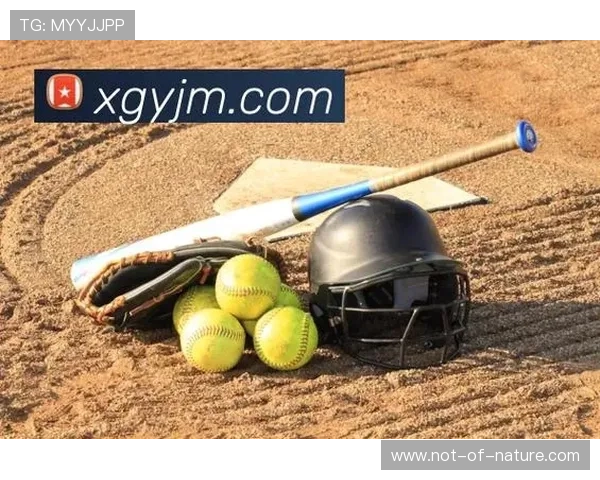 纵享星空体育体育登录入口，体验精彩无限的体育直播