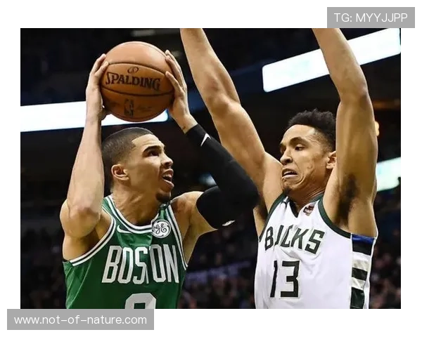 星空体育app：多样化的奖励机制激励你坚持运动不放弃