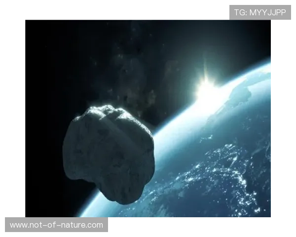 星空体育体育官网登录安全保障措施，保障用户账号信息安全无忧