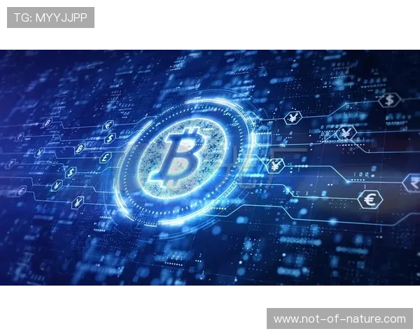 星空体育官网app下载安装指南，轻松掌握最新版本下载流程与操作技巧