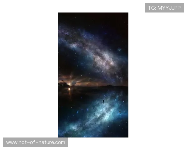 星空体育平台下载过程中遇到问题怎么办，专业解决方案一览