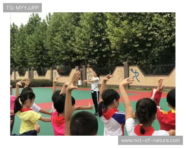 星空体育最新官网界面设计与操作流程最新动态介绍