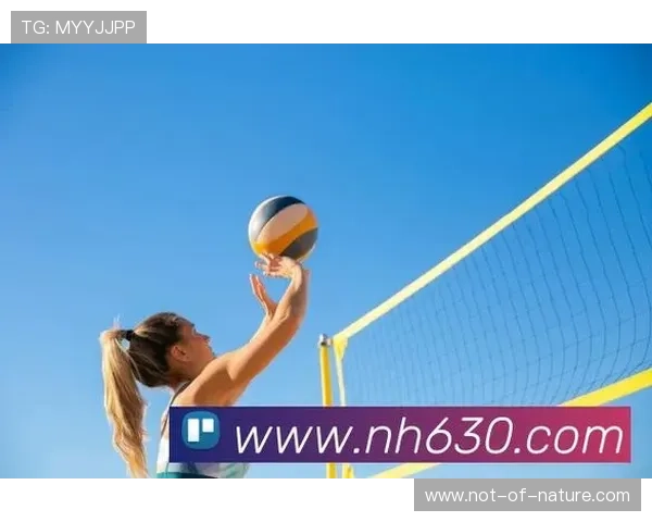 星空体育网页版官网提供最新体育赛事直播和精彩赛事回放的官方平台