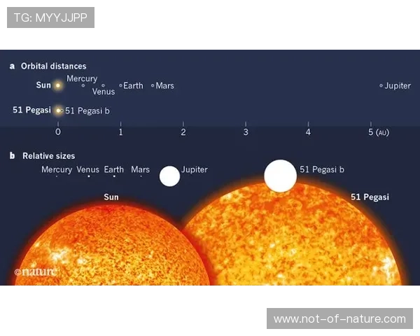 星空在线登录:解决常见登录问题的全面攻略