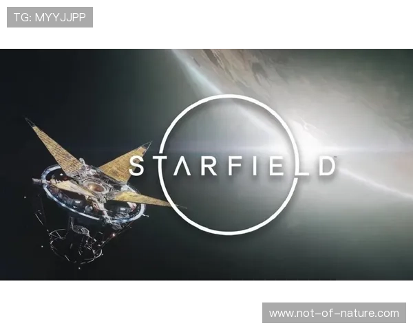 星空官方游戏网站的安全保障措施与玩家隐私保护策略