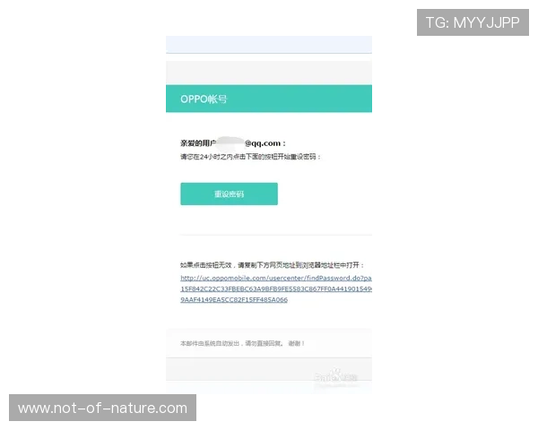 bob真人会员登录入口账户密码忘记找回步骤详解