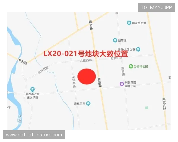 乐竞体育app登录入口安全性分析保证用户信息安全最佳途径