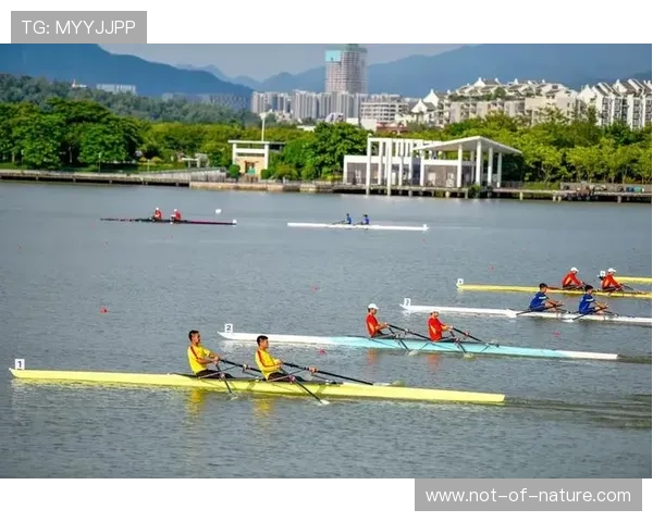 乐竞体育官方网站为运动爱好者提供科学训练方案和运动健康建议