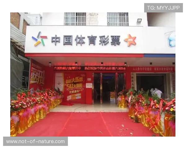 九州体育BET备用接口维护公告及时知晓确保正常投注不中断