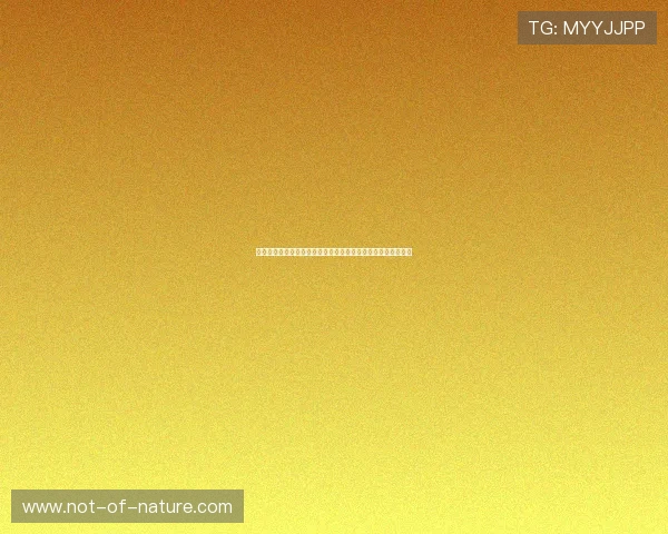 博鱼买球平台安全保障措施，确保您的资金和个人信息安全无忧