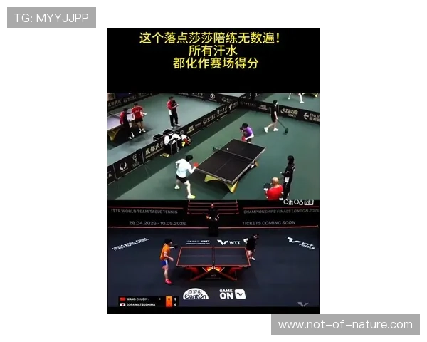 博鱼体育最新赛事直播实时精彩回放带你全程掌握体育瞬间 博鱼体育最新赛事直播实时精彩回放带你全程掌握体育瞬间