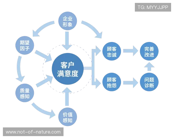 大满贯登录:优化网站登录流程提升用户满意度的方法 大满贯登录:优化网站登录流程提升用户满意度的方法