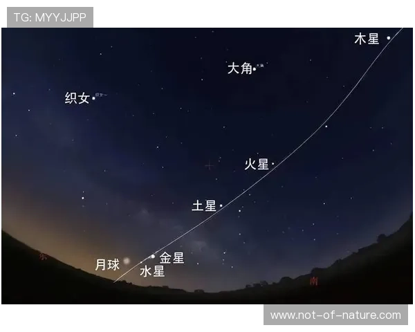 星空com网站如何成为天文爱好者的最佳交流平台，经验分享全纪录