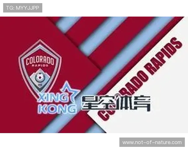 星空体育体育官方下载极速下载助手，确保软件快速稳定安装体验