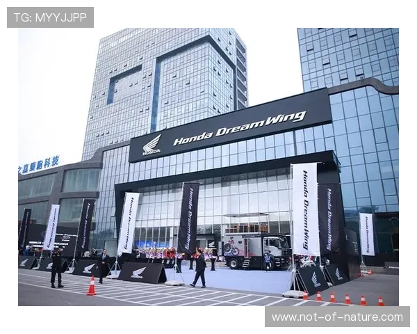 星空体育网站登录入口快速登录的方法与账户安全保护措施