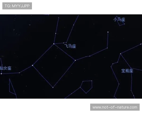 星空在线登录app安全稳定快速登录指南详细介绍