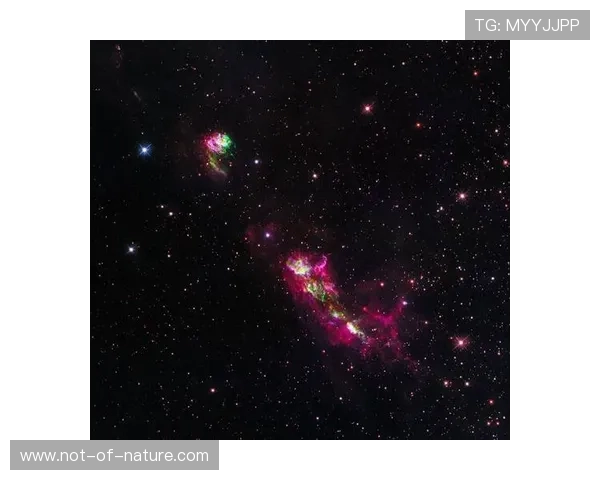 星空平台app：带你领略星空奇观的最新科技应用