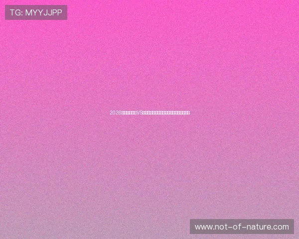 2026世界杯伊拉克VS挪威比赛详细战术分析与关键球员表现回顾