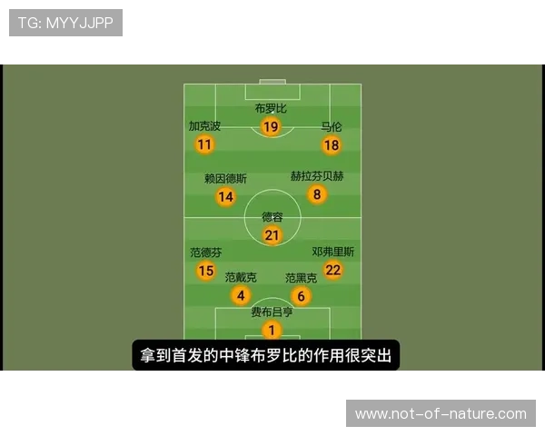 2026年世界杯荷兰与瑞典比赛地点及时间安排，赛事亮点全解析