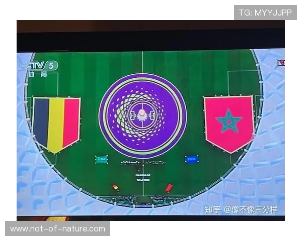 世界杯新西兰比利时比赛门票怎么买？详细步骤与购票平台推荐