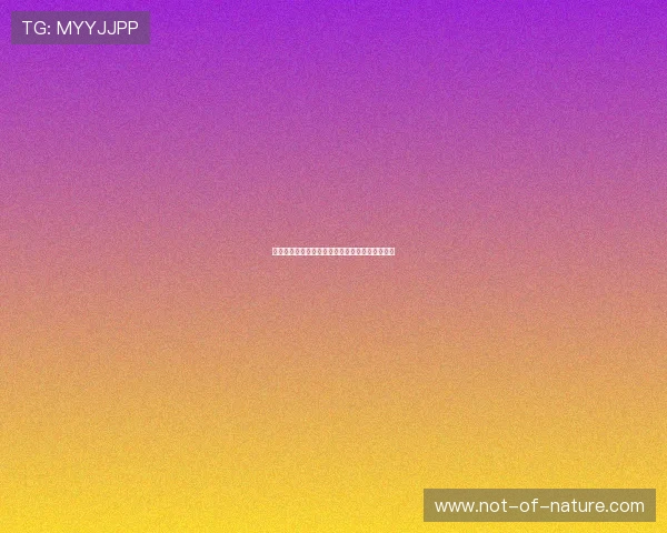沙特国家队在世界杯中的表现亮点与关键战术分析