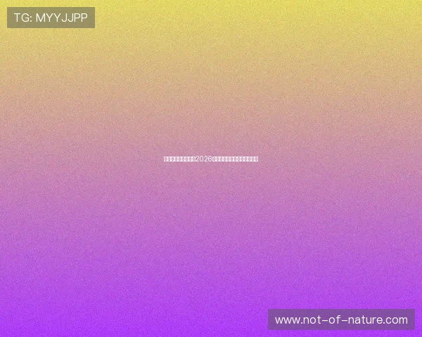 皇家体育足球队备战2026世界杯的最新动态与赛前分析 皇家体育足球队备战2026世界杯的最新动态与赛前分析