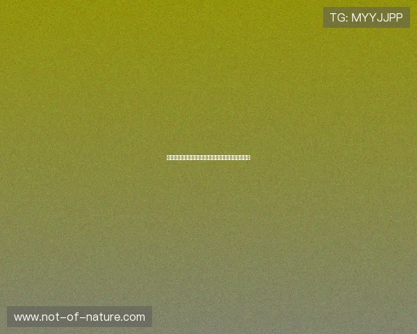探索星空体育投注平台让您的投注体验更加专业与便捷 探索星空体育投注平台让您的投注体验更加专业与便捷