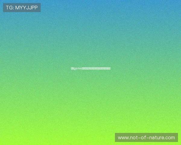 星空game官网游戏更新版本介绍与下载攻略全程解析
