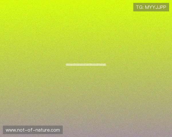 星空体育入口全面解析最新版本功能与使用技巧,助你快速上手 星空体育入口全面解析最新版本功能与使用技巧,助你快速上手